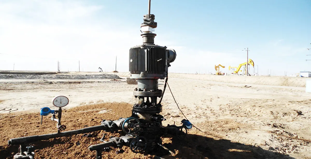 PCP oil production system